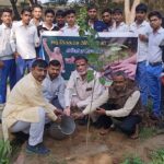 सीलकराम रोहिल्ला के 55 वें जन्म दिवस पर लगाए 55 पौधे